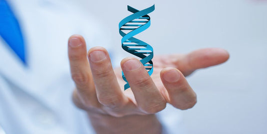 Epigenética: cómo el entorno y el estilo de vida influyen en la expresión génica