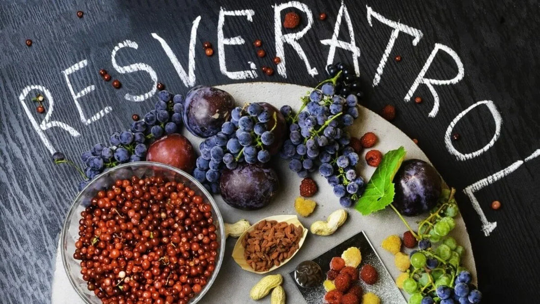 ¿Qué es el resveratrol y por qué está ganando tanta atención?