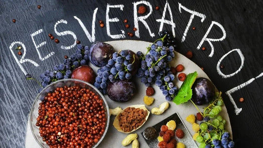 ¿Qué es el resveratrol y por qué está ganando tanta atención?