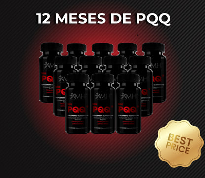 PQQ - EGCG + CURCUMINA C3 + RESVERATROL - 12 meses