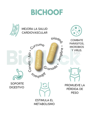 AJO + CÚRCUMA + JENGIBRE + PAPAYA + ALBAHACA + CLAVO + CANELA - BICHOOF 1 MES