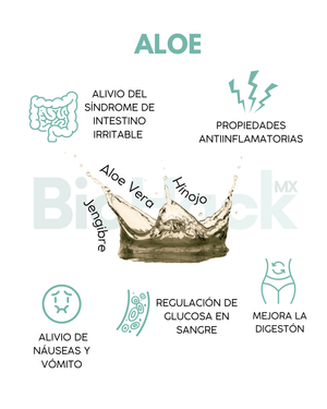 Jugo de Aloe con Sábila, Jengibre e Hinojo - ALOE