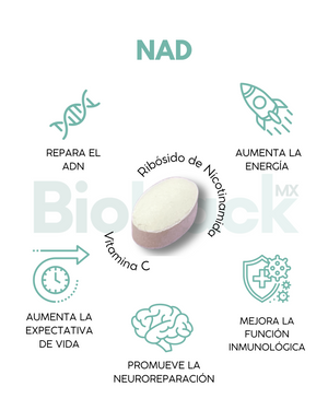 Triada Biohack - Precursor de NAD + Quercetina + Luteolina - 12 meses