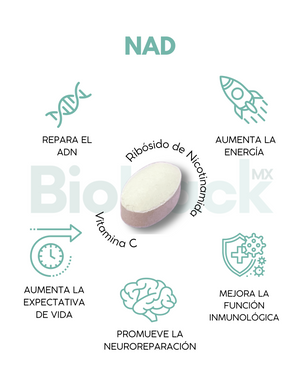 Triada BioHack- Precursor de NAD + Quercetina + Luteolina - 2 meses