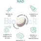 Triada BioHack- Precursor de NAD + Quercetina + Luteolina - 3 meses