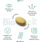 Triada BioHack - Precursor de NAD + Quercetina + Luteolina - 1 mes