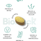 Triada BioHack- Precursor de NAD + Quercetina + Luteolina - 3 meses