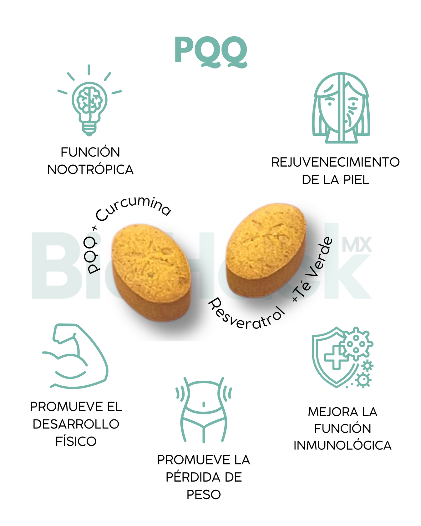 PQQ + Curcumina C3 + Resveratrol - 1 mes – BioHack Mx